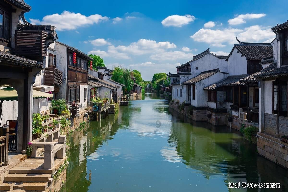 拯救枯树